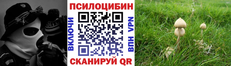 Купить где  Пущино  Псилоцибиновые грибы Magic Shrooms 